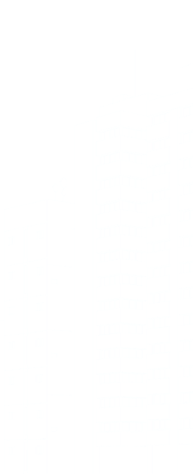 City